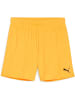Puma Sporthose "TeamGoal Shorts Wmns" in Orange