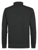 Petrol Industries Sweatshirt mit Zip-Kragen steelcrest in Grün