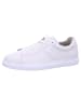 Pius Gabor Sneaker  in Weiß