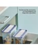Rotho DOMINO Frischhaltedosen Set 12-teilig mit Streu und Schüttdeckel in Horizon Blue