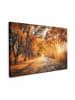 MuchoWow Leinwand bilder Waldweg (BxH)