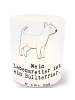 Mr. & Mrs. Panda Windlicht Bullterrier Lebensretter mit Spruch in Transparent