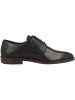 McGregor Schnürschuhe 623492 in schwarz