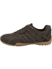 Geox Sneaker low U Snake Original in dunkelbraun