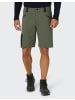 hot-sportswear Bermudas Kenai in pale olive