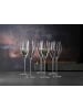 Spiegelau 2er Set Champagnergläser + Poliertuch Definition 250 ml transparent in transparent