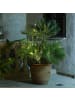 MARELIDA LED Lichtbündel mit Draht Pflanzenbeleuchtung L: 80cm in silber
