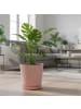 relaxdays 2x Blumentopf in Altrosa - (H) 20 x Ø 20 cm