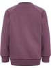 Hummel Anzug Raglanärmel Hmlmini Kinder in BLACK PLUM