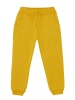 Denokids Set Be Wild in Anthracite