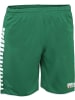 Derbystar Kindersporthose "Hyper Hose" in Grün