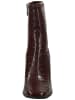 Steve Madden Stiefelette in Braun