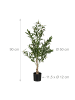relaxdays Olivenbaum künstlich in Grün/ Braun - 90 cm