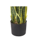 Beliani Kunstpflanze SNAKE PLANT in Grün/Schwarz - (W) 15 x (H) 63 x (L) 15 cm
