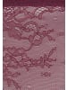 LASCANA String in aubergine