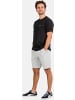 Reell Short "Reflex Easy Short LW" in Grau