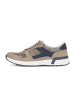 Gabor Sneaker low in beige