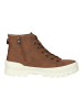 Blowfish Sneaker Whisky