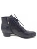 Regarde le Ciel Stiefelette Stephany in Schwarz