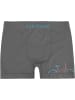 normani 12 Stück Mikrofaser-Boxershorts für Herren in Bicycle