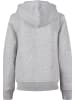 F4NT4STIC Hoodie in heather grey