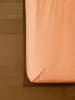 Erlich Textil  Erlich Textil Spannbettlaken COTTON SELECT in papaya