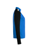 Puma Trainingspullover TeamLIGA 1/4 Zip in blau / schwarz
