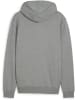 Puma Hoodie "TeamGoal CasuaLongsleeve Hooded Jacket" in Grau
