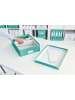 Leitz Organisationsbox Click & Store mittel eisblau