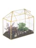 relaxdays Pflanzenterrarium "Haus" in Gold - (B)30 x (H)27 x (T)15 cm