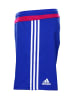 adidas Hose adizero Shorts in Blau