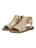 Blowfish Sandalen in Gold