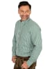 Almsach Stehkragenhemd 175CO in grün