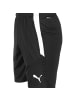 Puma Funktionsshorts TeamLIGA in schwarz / weiß