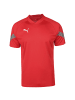 Puma Fußballtrikot teamFinal Training in rot / silber