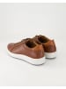 Josef Seibel Sneaker low in Braun