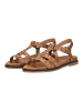 Nero Giardini Sandalen in Cognac