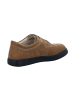 Finn Comfort Sneaker Low in braun