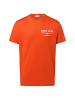Gant T-Shirt in terra