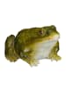 relaxdays 4x Froschfigur in Grün