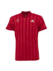 adidas Shirt Tennis Freelift Tee Engineered Aeroready in Rot