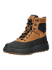 Geox Stiefelette in Schwarz/Braun