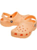 Crocs Clog Classic T in apricot in apricot