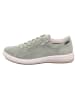 Legero Sneakers Low TANARO 5.0 in Palace