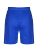 Puma Trainingsshorts TeamGoal 23 Knit in blau