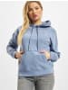 Levi´s Levi´s Kapuzenpullover in avio blue