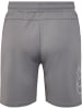 Hummel Hummel Kurze Hose Hmlte Multisport Herren Schnelltrocknend in SHARKSKIN