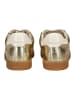DOLCE VITA Sneaker Gold