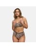 CFAB Scoop Bralette in  Leopard