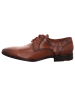 LLOYD Business Schnürschuh in braun